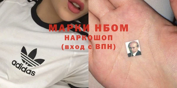 СК Алексин