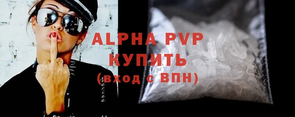 СК Алексин