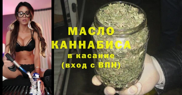 СК Алексин