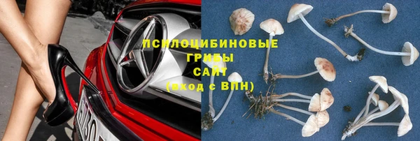 винт Алексеевка